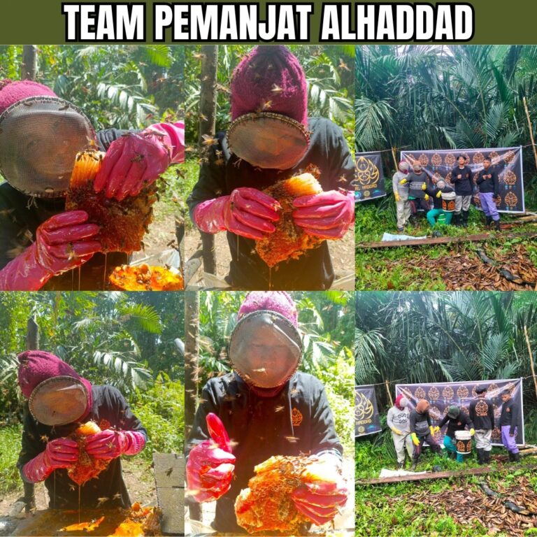 Ujian makmal Madu Al-Haddad